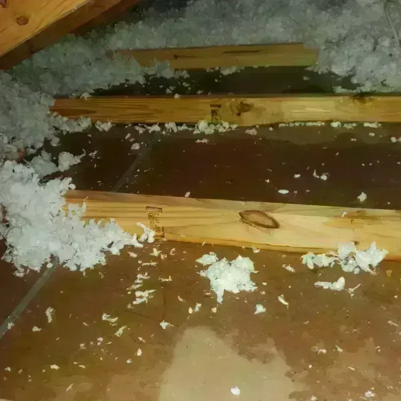 Attic Water Damage in Three Rivers, CA