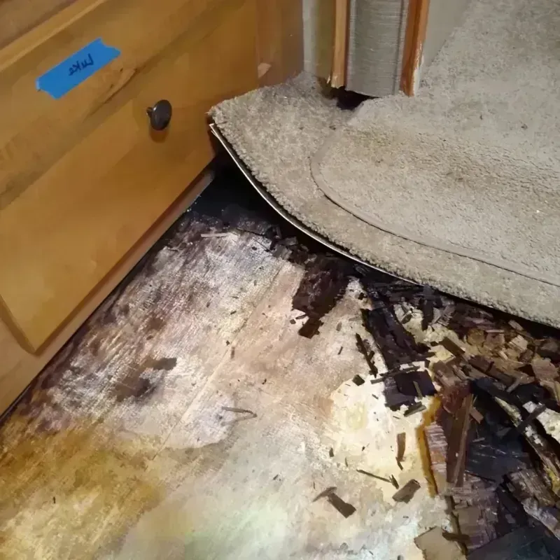 Wood Floor Water Damage in Three Rivers, CA